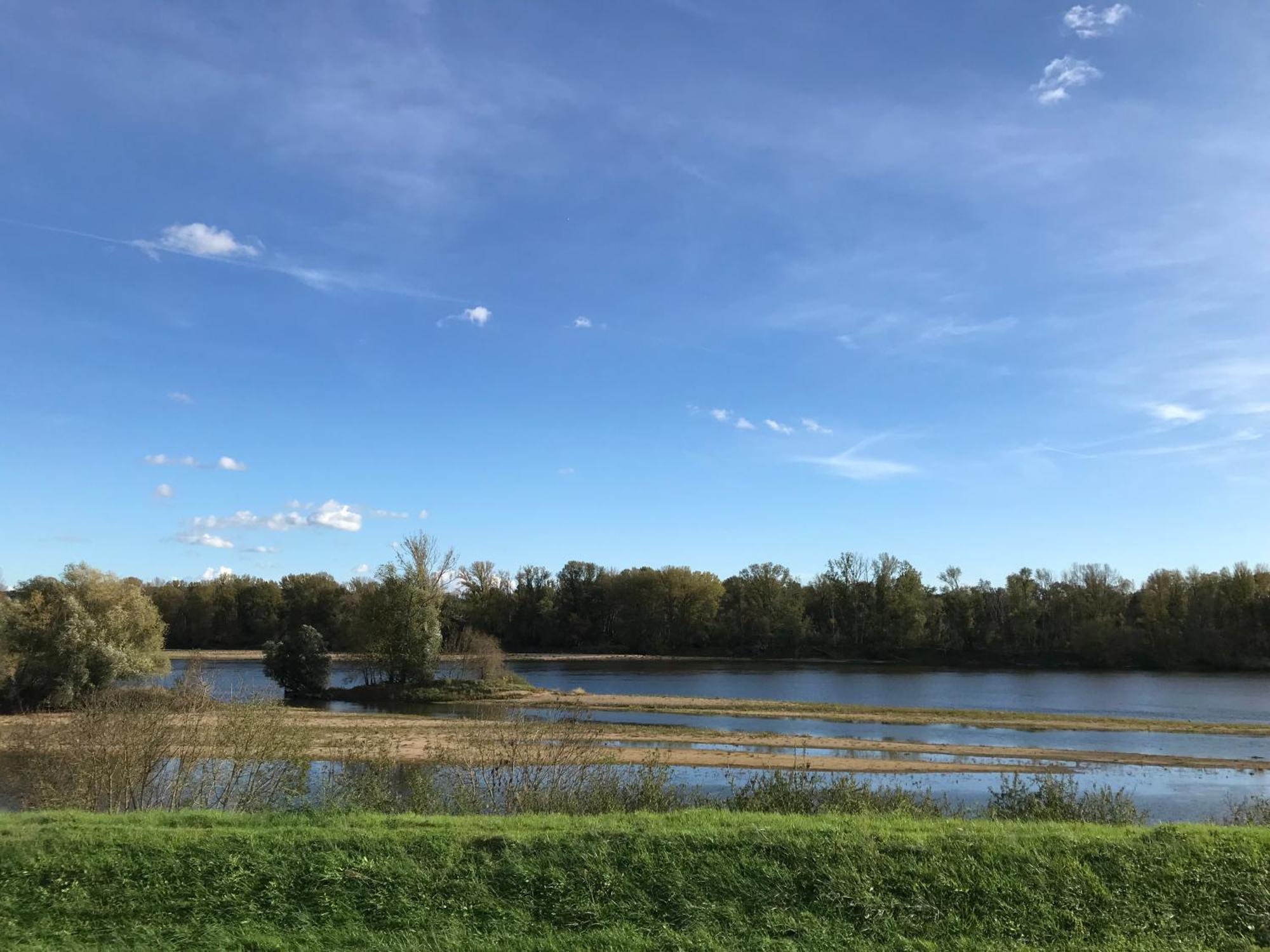 Jacuzzi Et Vue Sur Loire - Maison D'Hotes L'Odyssee La Chapelle-sur-Loire Exteriör bild
